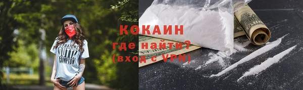 PSILOCYBIN Ладушкин