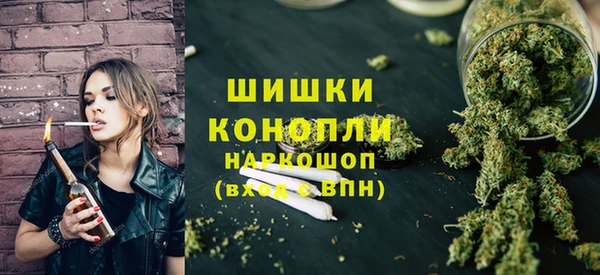 PSILOCYBIN Ладушкин