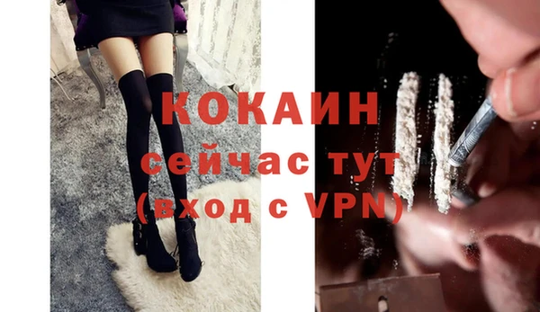 твердый Лабытнанги