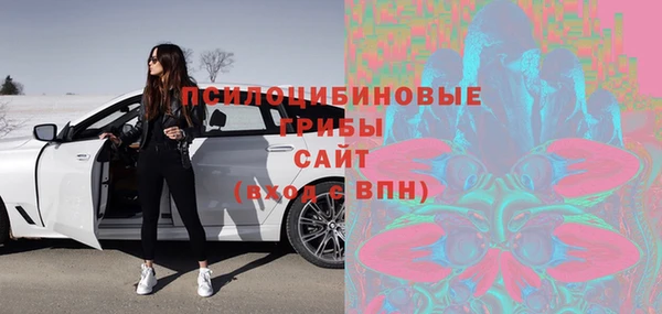 PSILOCYBIN Ладушкин