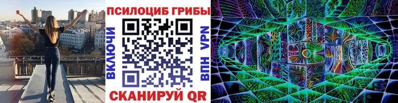 Галлюциногенные грибы Psilocybe  Усть-Катав 